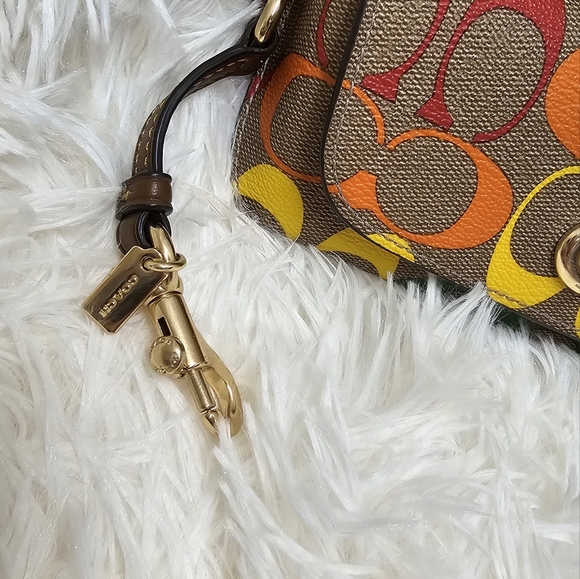 COACH Pride Rainbow Signature Canvas Sunglass Case Pride Collection Coach Bags - Picture 6 of 10